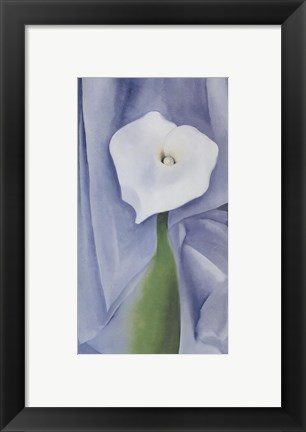 Framed Calla Lily on Grey, 1928 Print