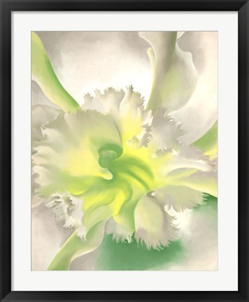 Framed Orchid Print