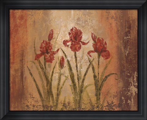 Framed Iris Style Print
