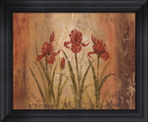 Framed Iris Style Print