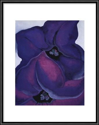 Framed Purple Petunias, 1925 Print