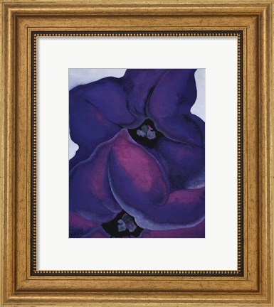 Framed Purple Petunias, 1925 Print