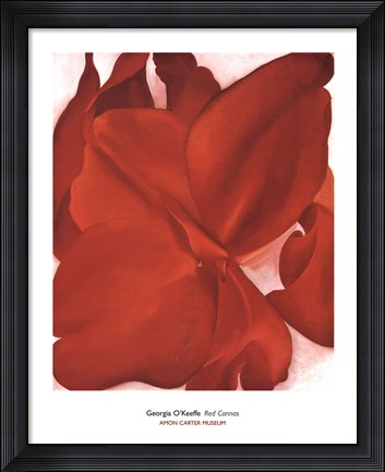Framed Red Cannas Print