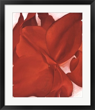 Framed Red Cannas Print