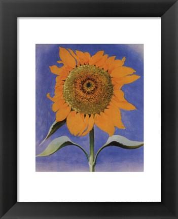 Framed Sunflower, New Mexico, 1935 Print