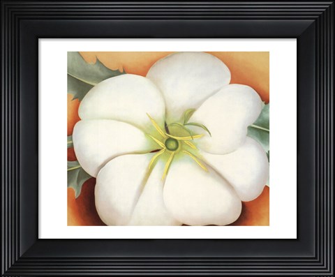 Framed White Flower on Red Earth, No. 1 Print