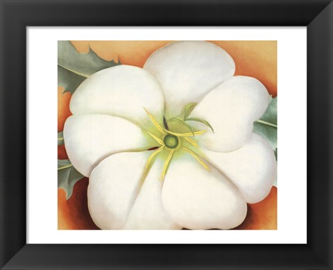 Framed White Flower on Red Earth, No. 1 Print