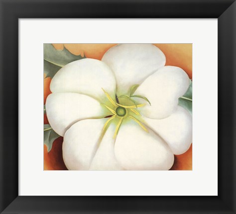 Framed White Flower on Red Earth, No. 1 Print