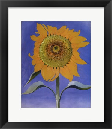 Framed Sunflower, New Mexico, 1935 Print