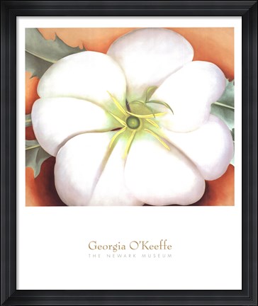 Framed White Flower on Red Earth, No. 1 Print
