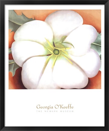 Framed White Flower on Red Earth, No. 1 Print