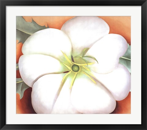 Framed White Flower on Red Earth, No. 1 Print