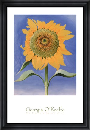Framed Sunflower, New Mexico, 1935 Print