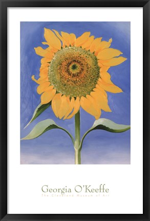 Framed Sunflower, New Mexico, 1935 Print