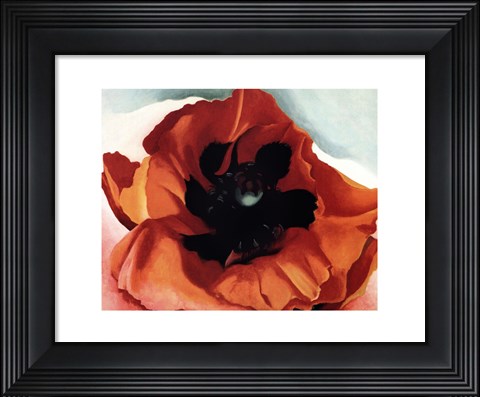 Framed Poppy Print