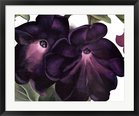 Framed Black and Purple Petunias Print