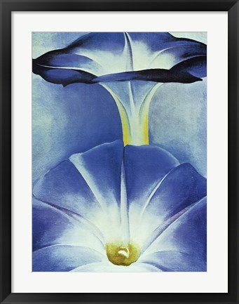 Framed Blue Morning Glories Print