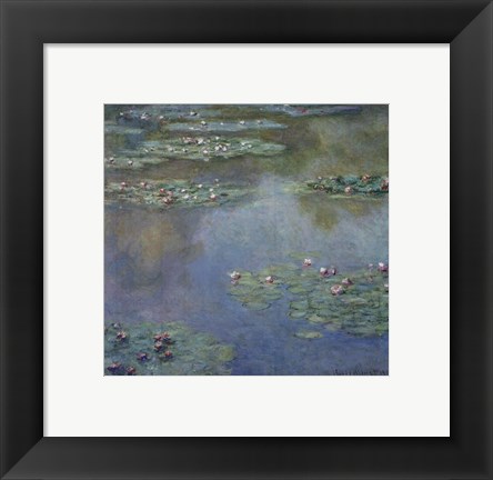 Framed Water Lilies (II), 1907 Print