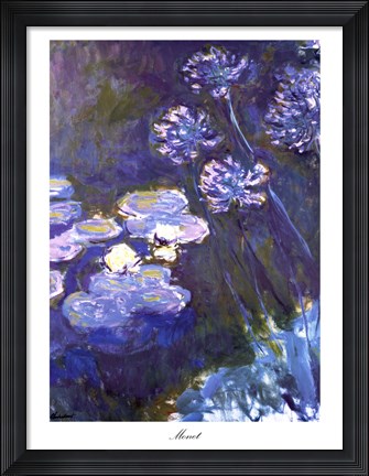 Framed Water Lilies and Agapanthus, 1914-1917 Print