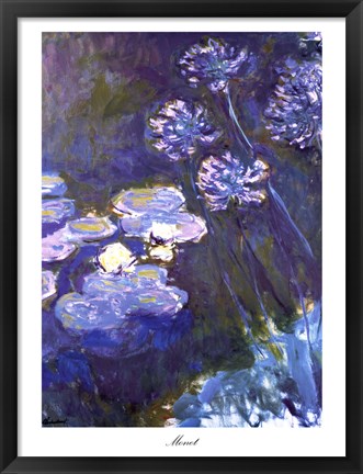 Framed Water Lilies and Agapanthus, 1914-1917 Print