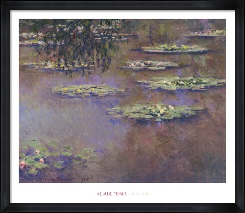 Framed Water Lilies, 1903 Print