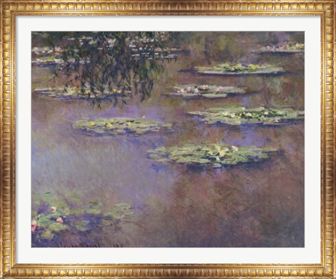 Framed Water Lilies, 1903 Print