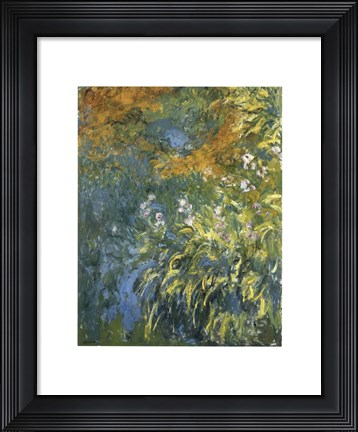 Framed Yellow Iris Print