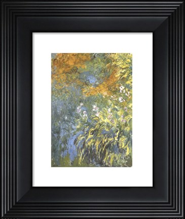 Framed Yellow Iris Print
