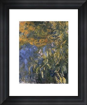 Framed Iris, 1914-1917 Print