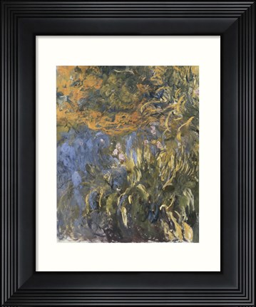 Framed Iris, 1914-1917 Print