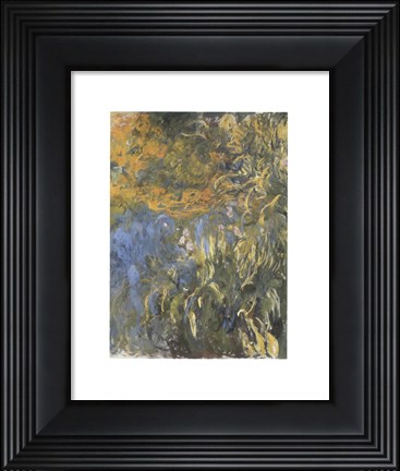 Framed Iris, 1914-1917 Print