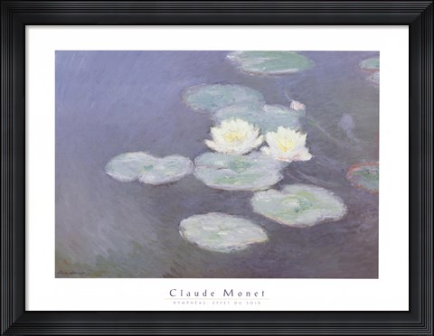 Framed Nympheas Effet du Soir Print