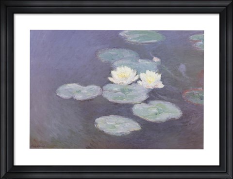 Framed Nympheas Effet du Soir Print