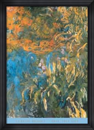 Framed Iris, 1914-1917 Print