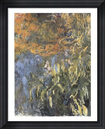 Framed Iris, 1914-1917 Print