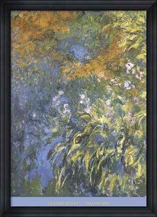 Framed Yellow Iris Print