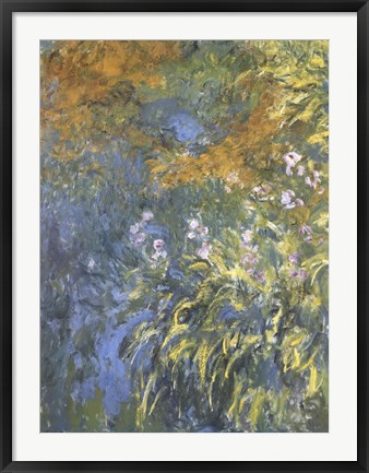 Framed Yellow Iris Print