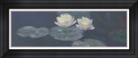 Framed Nymphaeas Print