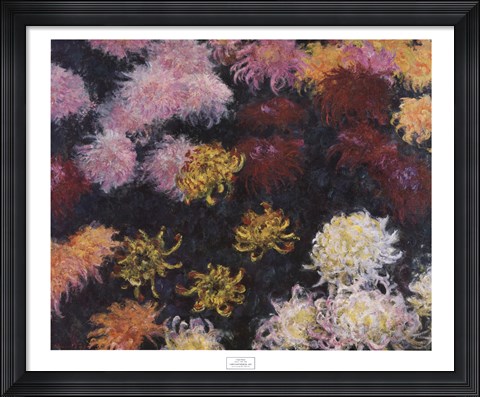 Framed Chrysanthemum, 1897 Print