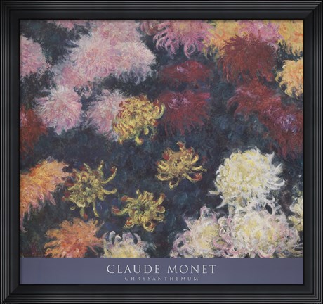 Framed Chrysanthemum, 1897 Print