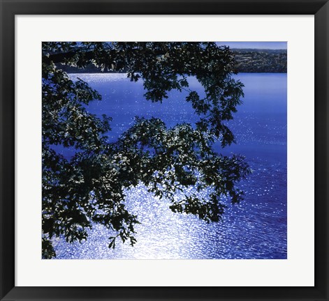 Framed Silver Light, 2006 Print