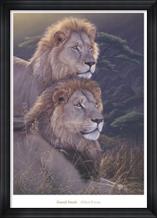 Framed Allied Forces Print