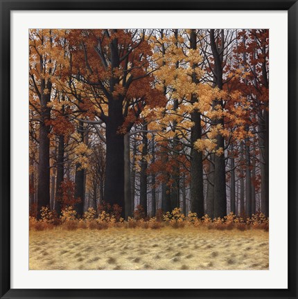 Framed Autumn Wood Print