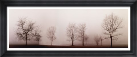 Framed Misty Meadow Print