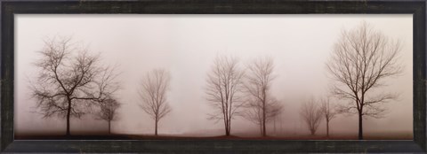 Framed Misty Meadow Print