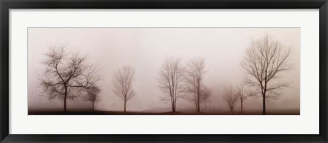 Framed Misty Meadow Print