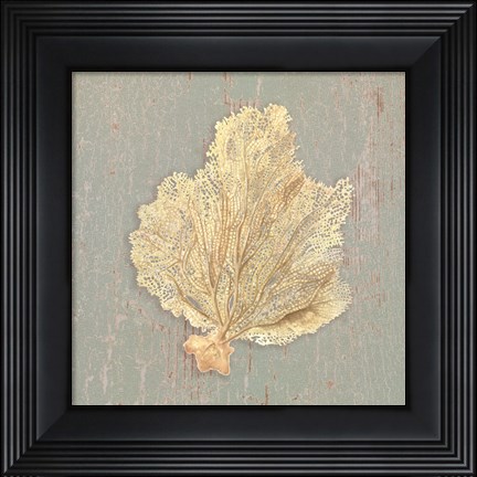 Framed Sea Fan Print