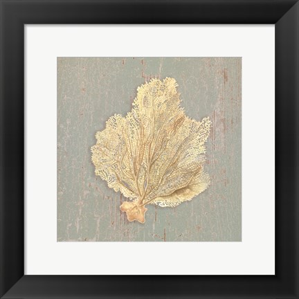 Framed Sea Fan Print