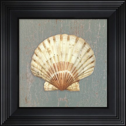 Framed Scallop Shell Print
