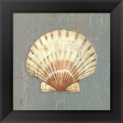 Framed Scallop Shell Print